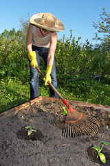 Image showing garden work