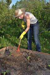 Image showing gardening woman