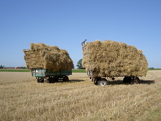 Image showing hay on wagon