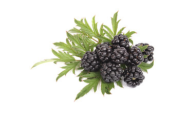 Image showing blackberries with green leaves