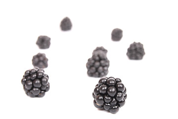 Image showing blackberries