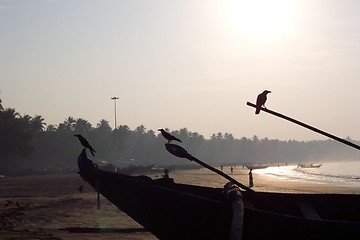 Image showing birds on boats at sunrise