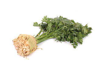 Image showing celery