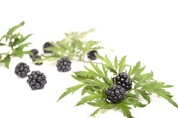 Image showing blackberries with green leaves