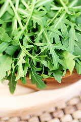 Image showing fresh rucola