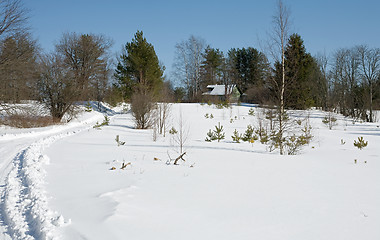 Image showing winter rural landscape