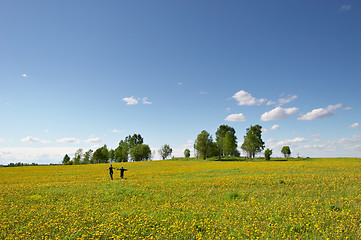 Image showing happiness and freedom