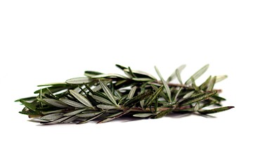 Image showing Rosemary