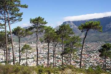 Image showing Cape town from Lion's head