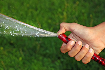 Image showing Watering grass