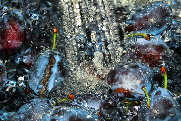 Image showing Washing plums