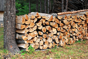 Image showing Wood pile