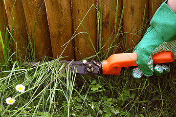 Image showing Trimming grass