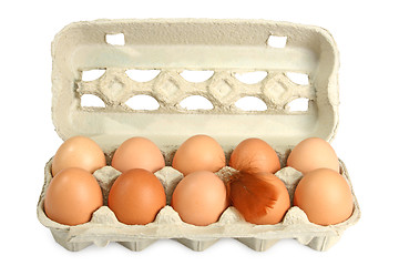 Image showing Fresh Eggs