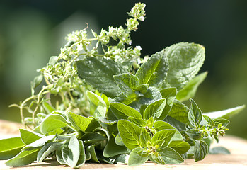 Image showing summer herbs