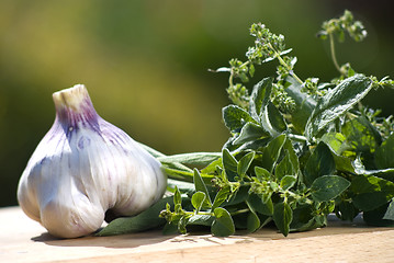 Image showing fresh herbs in the garden