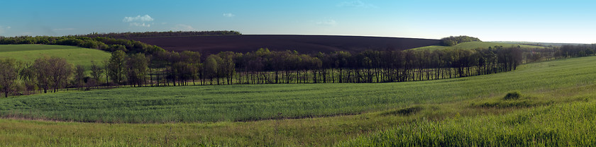 Image showing Spring countryside