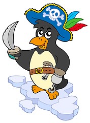 Image showing Pirate penguin