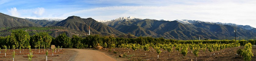 Image showing Ojai Valley With Snow(PIII)