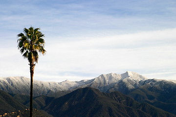 Image showing Southern California Snow (4315)