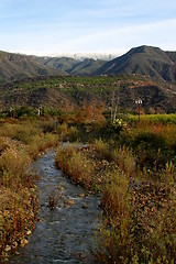 Image showing Ojai Valley (XI)