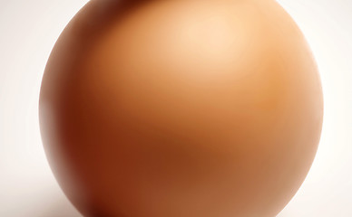 Image showing Macro Egg