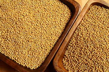 Image showing Mustard seeds