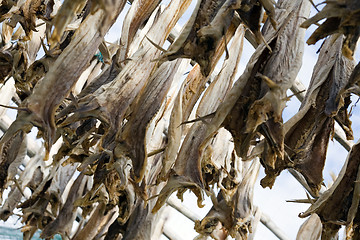 Image showing dried fish