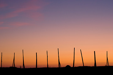 Image showing row of sticks on a sunset background