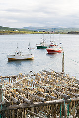 Image showing Fishing boats