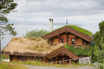 Image showing overgrown house