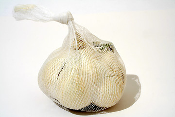Image showing Garlic on white