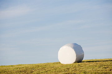 Image showing one roll of hay