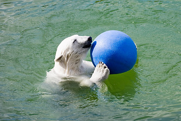 Image showing polar bear with ball 