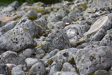 Image showing stones