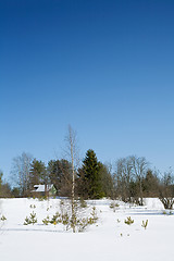 Image showing winter rural landscape