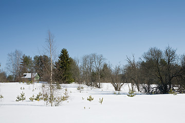 Image showing winter rural landscape