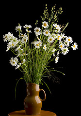 Image showing Bouquet of camomiles