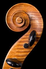 Image showing violoncello