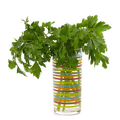 Image showing bouquet of fresh parsley