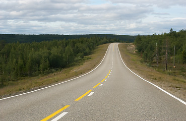 Image showing road between trees