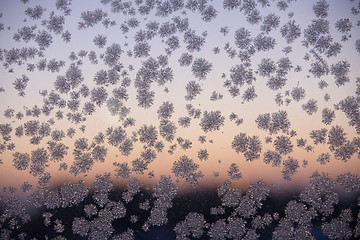 Image showing Frosty pattern on window glass