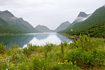 Image showing fjord