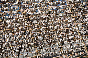 Image showing stockfish