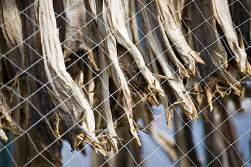 Image showing dried fish