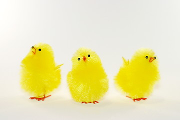 Image showing Chicks (6193)