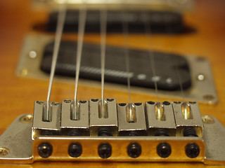 Image showing Guitar Macro