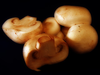 Image showing Mushrooms