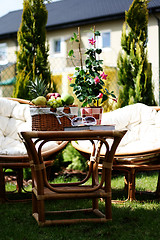 Image showing relax in garden