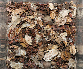 Image showing Potpourri 2